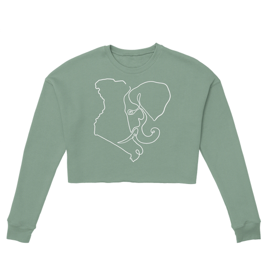 43771a54-7fb6-496a-abdd-622ea4f6c00b